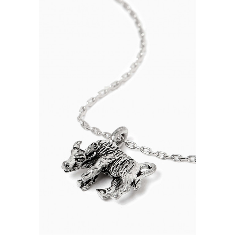 The Monotype - Taurus Zodiac Pendant Necklace in Silver-tone Brass
