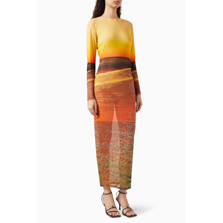 Louisa Ballou - High Tide Printed Maxi Dress in Mesh