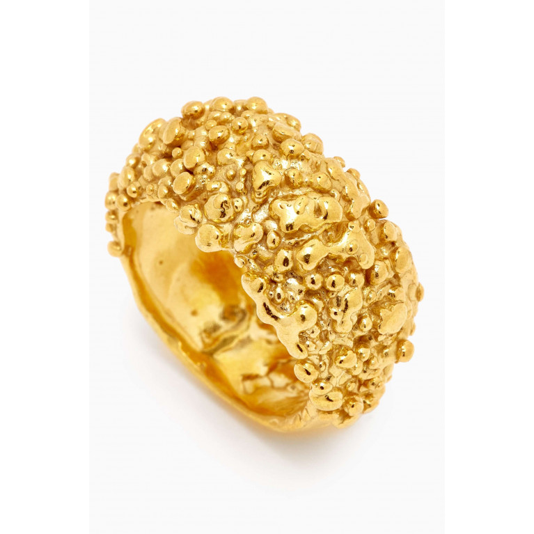 Alighieri - The Rocky Road Ring in 24kt Gold-plated Recyled Sterling Silver