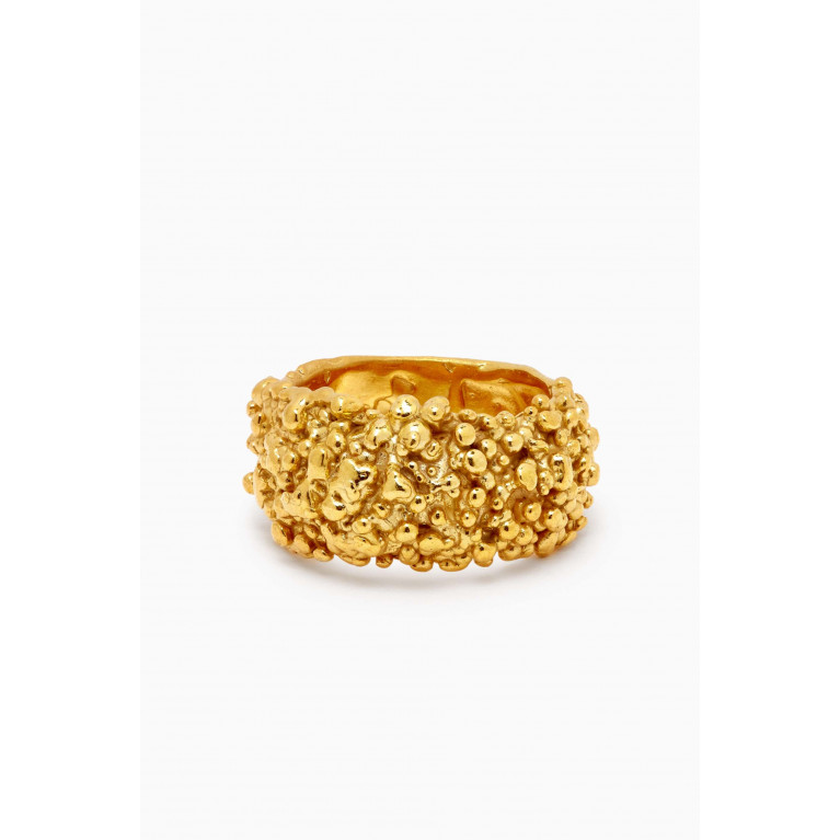 Alighieri - The Rocky Road Ring in 24kt Gold-plated Recyled Sterling Silver