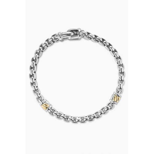 David Yurman - Cable 2-row Box Chain Bracelet in Sterling Silver & 18kt Yellow Gold, 12mm