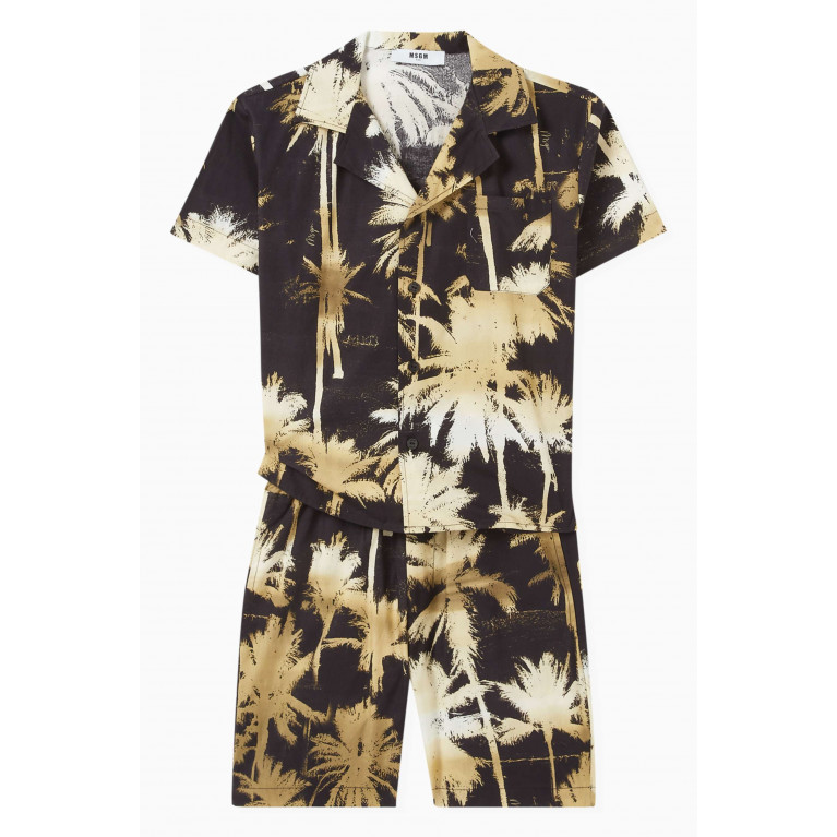 MSGM - Palm Tree Print Bermuda Shorts in Cotton