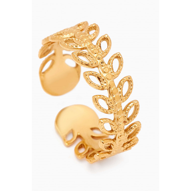 The Jewels Jar - Ambrose Open Ring in 18kt Gold-plated Stainless Steel