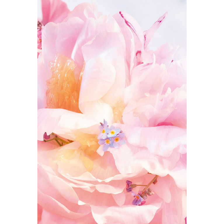 Dior- Miss Dior Blooming Bouquet Eau de Toilette No color