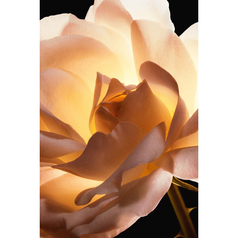 Dior- Dior Prestige Le Cushion Teint de Rose 012 Porcelain