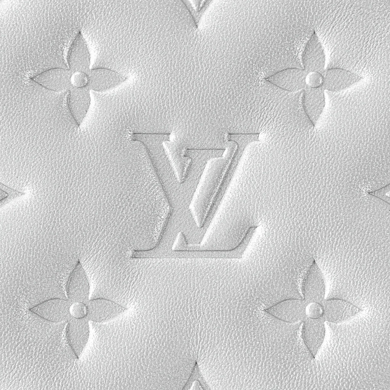 Сумка Louis Vuitton Coussin PM Silver