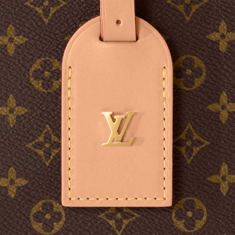Сумка Louis Vuitton Petite Boite Chapeau канва Monogram 