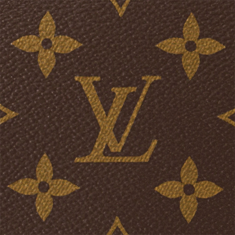 Сумка Louis Vuitton Loop Hobo канва Monogram 
