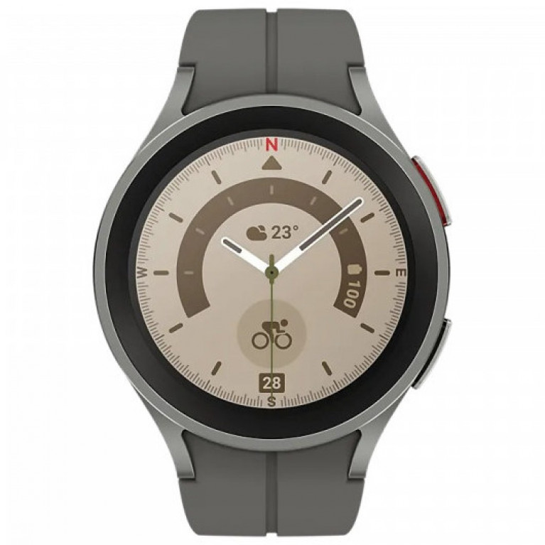Смарт-часы Samsung  Galaxy Watch 5 Pro Gray Titanium